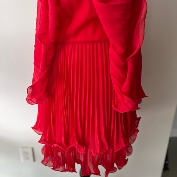 Coral Pleated Dress - Picture 6 of 12